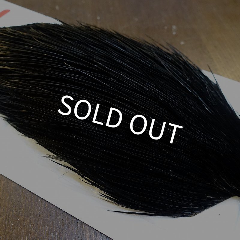 画像4: 【Whiting】ROOSTER CAPE Silver Grade - DYED BLACK No.2 (4)