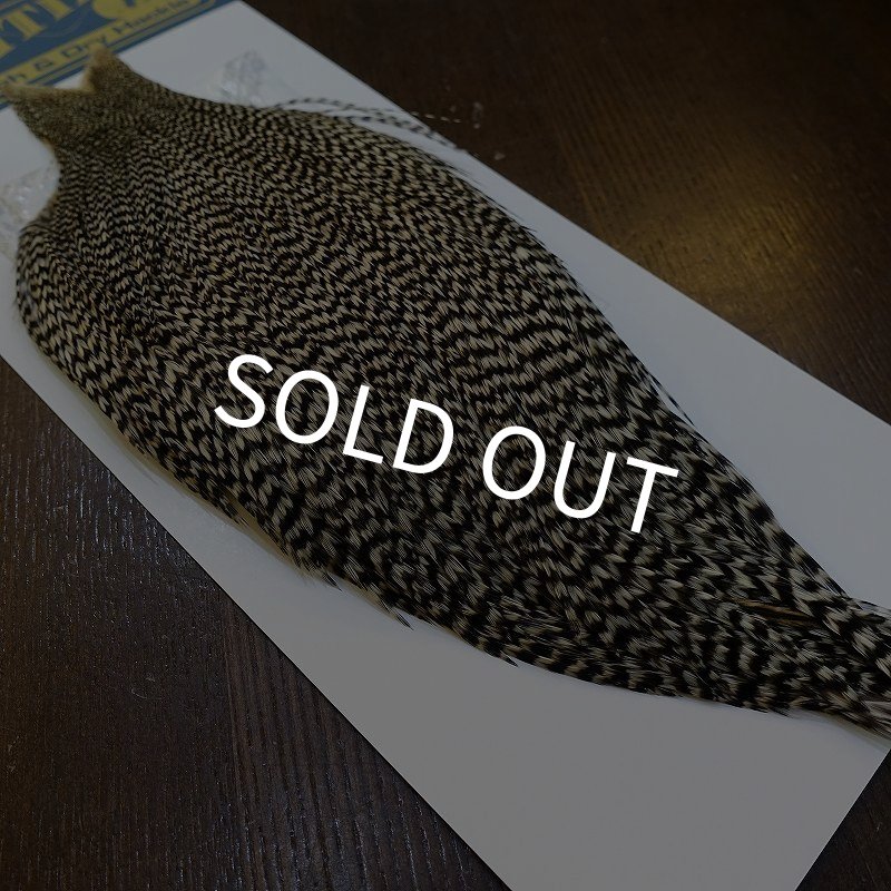 画像2: 【WHITING】High & Dry ROOSTER Cape - Grizzly No.1 (2)