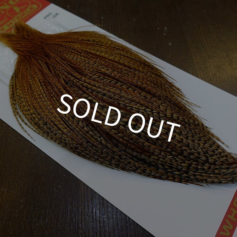 画像2: 【Whiting】ROOSTER CAPE Pro Grade - BARRED DK GINGER No.1 (2)