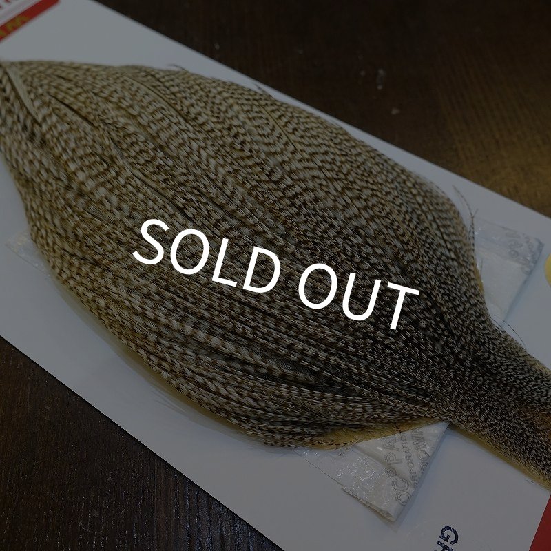 画像4: 【Whiting】ROOSTER CAPE Pro Grade - DUN Grizzly No.2 (4)