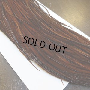 画像3: 【WHITING】High & Dry ROOSTER SADDLE - DYED COACHMAN BROWN No.1 #16