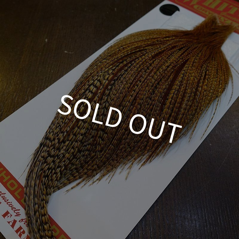 画像5: 【Whiting】ROOSTER CAPE Pro Grade - BARRED DK GINGER No.1 (5)