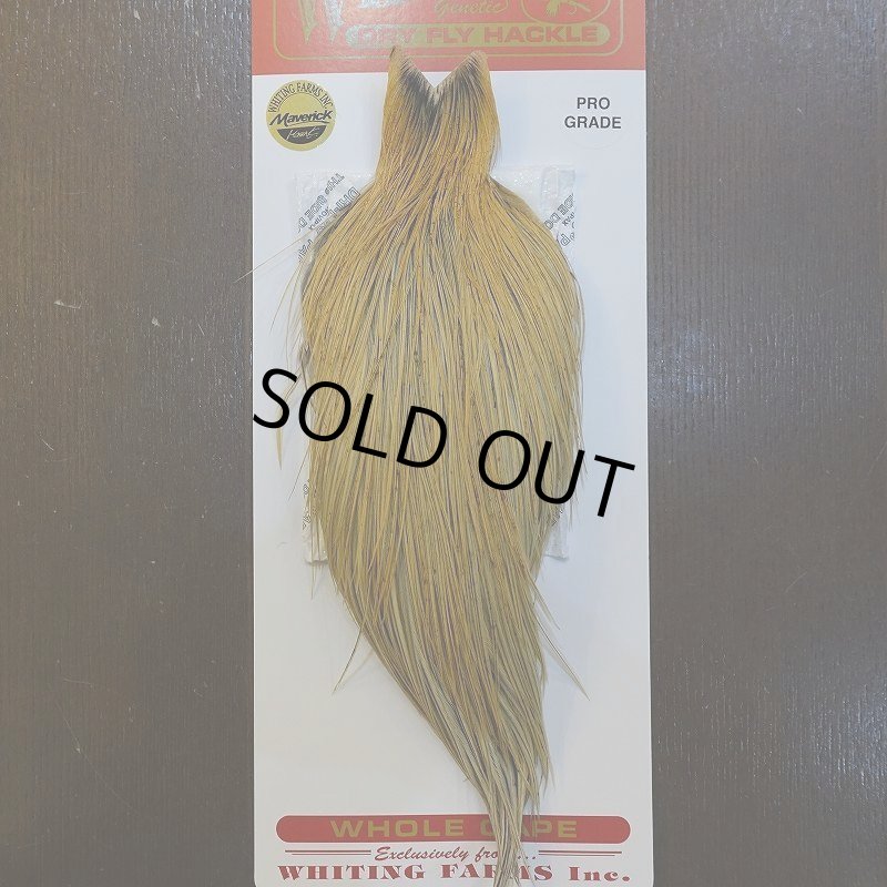 画像1: 【Whiting】ROOSTER CAPE Pro Grade - HONEY DUN No.1 (1)