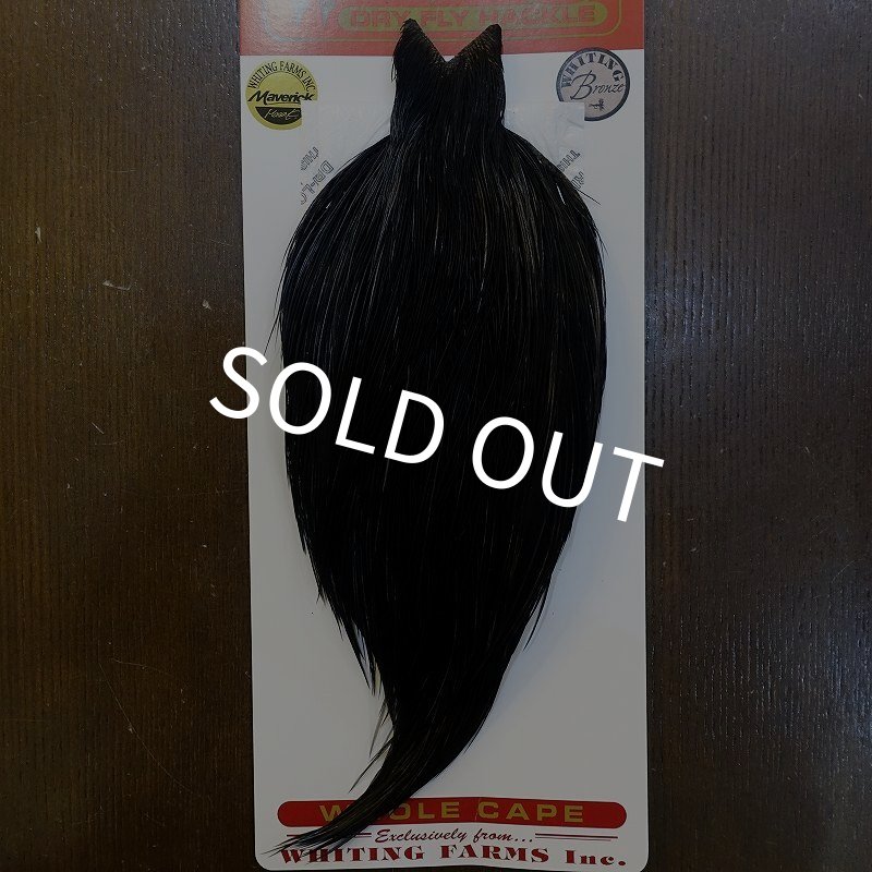 画像1: 【Whiting】ROOSTER CAPE Bronze Grade - DYED BLACK No.3 (1)