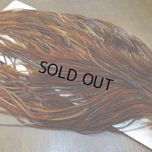 画像5: 【WHITING】High & Dry ROOSTER SADDLE - DYED COACHMAN BROWN No.1 #16