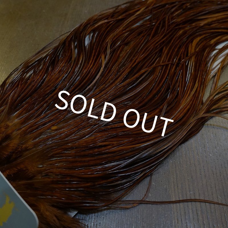 画像4: 【WHITING】High & Dry ROOSTER SADDLE - DYED COACHMAN BROWN No.2 #16 (4)