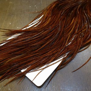 画像6: 【WHITING】High & Dry ROOSTER SADDLE - DYED COACHMAN BROWN No.2 #16