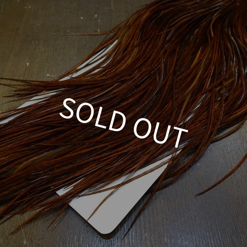 画像6: 【WHITING】High & Dry ROOSTER SADDLE - DYED COACHMAN BROWN No.2 #16 (6)