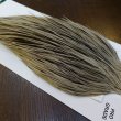 画像4: 【WHITING】Hebert ROOSTER CAPE PRO Grade - Unique variant No.2 (4)