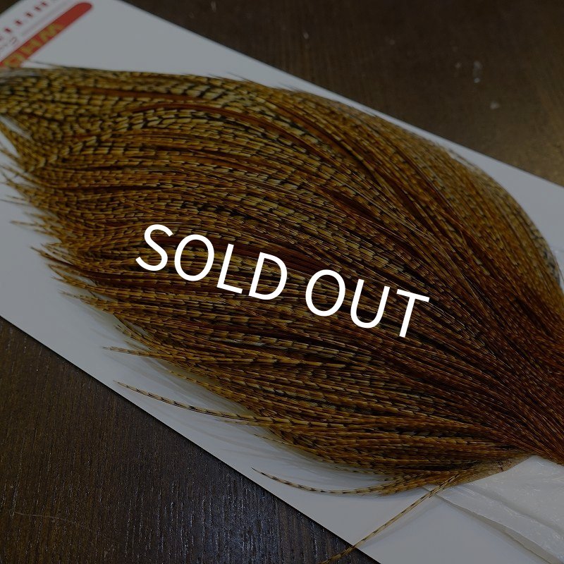 画像4: 【Whiting】ROOSTER CAPE Pro Grade - BARRED DK GINGER No.1 (4)