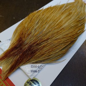 画像3: 【Whiting】ROOSTER CAPE Bronze Grade - HONEY DUN No.1