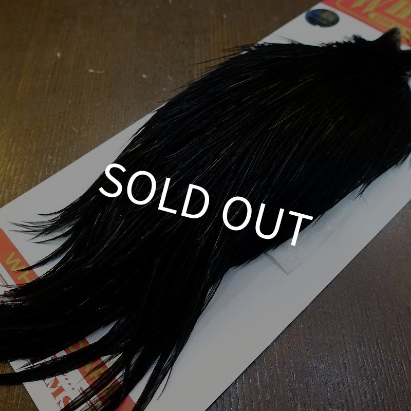 画像5: 【Whiting】ROOSTER CAPE Silver Grade - DYED BLACK No.2 (5)