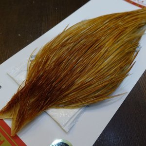 画像3: 【Whiting】ROOSTER CAPE Pro Grade - HONEY DUN No.2