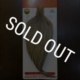 Whiting】ROOSTER CAPE Pro Grade - HONEY DUN No.1