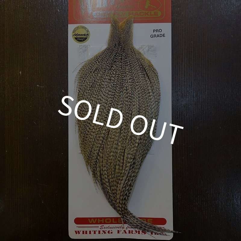 画像1: 【Whiting】ROOSTER CAPE Pro Grade - DUN Grizzly No.2 (1)