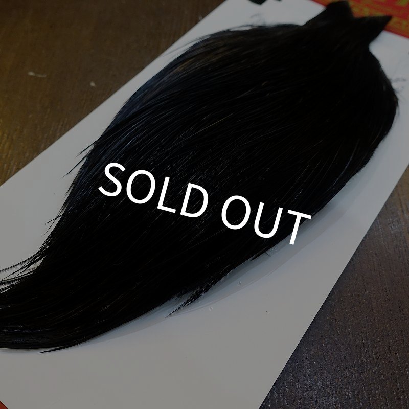 画像5: 【Whiting】ROOSTER CAPE Bronze Grade - DYED BLACK No.3 (5)