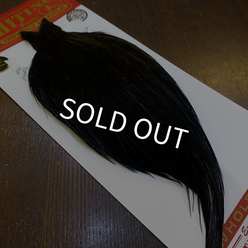 画像2: 【Whiting】ROOSTER CAPE Bronze Grade - DYED BLACK No.3 (2)