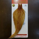 WHITING（ホワイティング）フライタイイングマテリアル｜ケープ