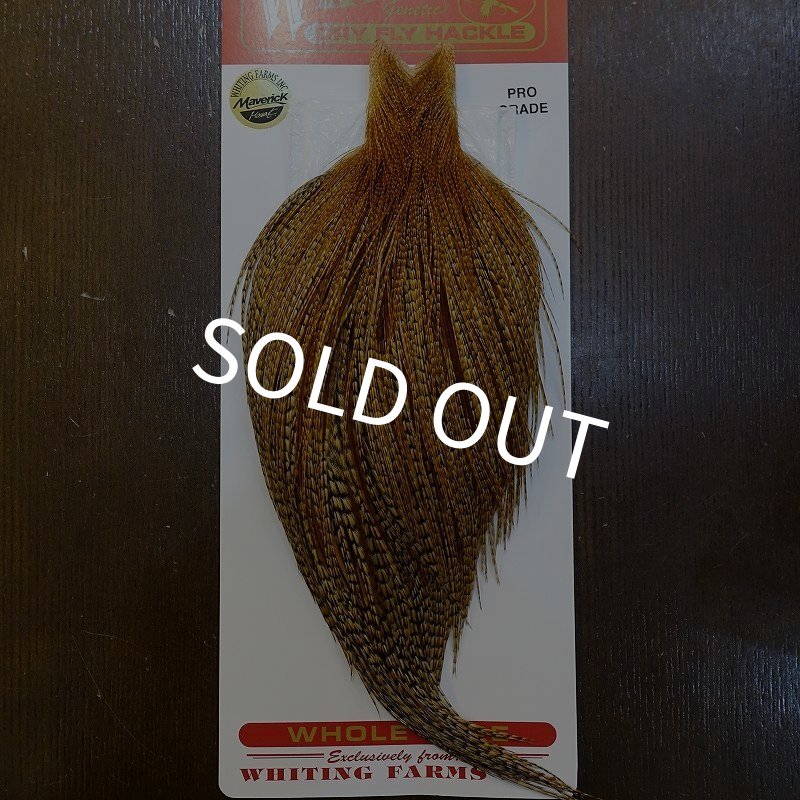 画像1: 【Whiting】ROOSTER CAPE Pro Grade - BARRED DK GINGER No.1 (1)