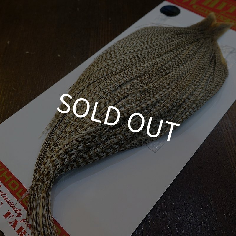 画像5: 【Whiting】ROOSTER CAPE Pro Grade - DUN Grizzly No.2 (5)