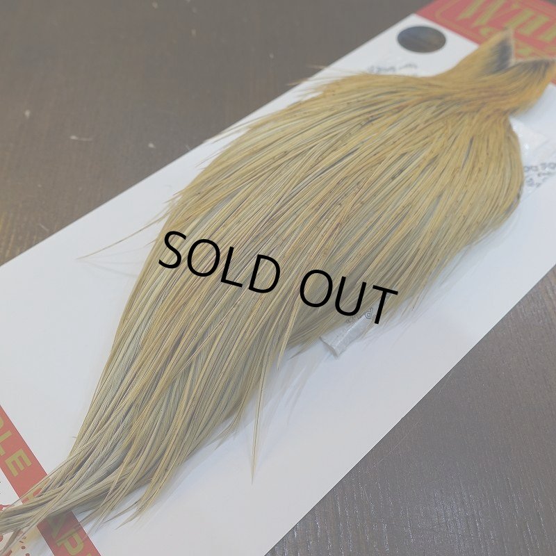 画像5: 【Whiting】ROOSTER CAPE Pro Grade - HONEY DUN No.1 (5)