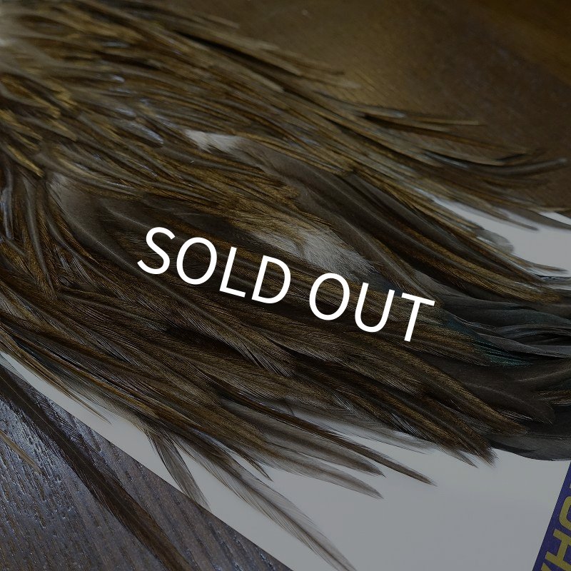 画像2: 【WHITING】AMERICAN SADDLE NA DARK DUN No.1 (2)