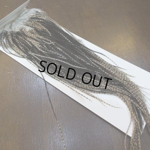 画像2: 【WHITING】Hebert Pro Grade Saddle Dun Grizzly #16