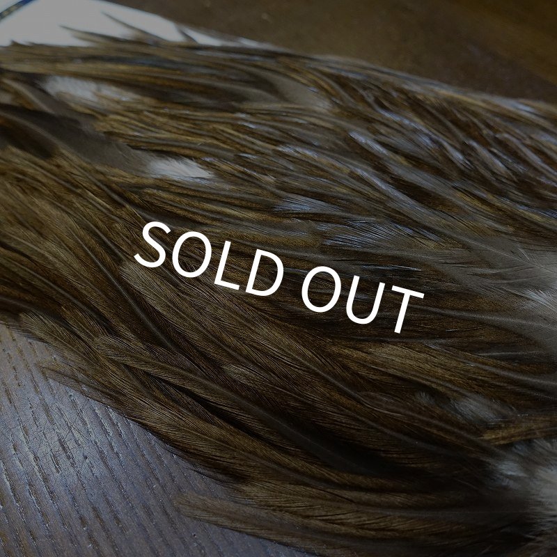 画像4: 【WHITING】AMERICAN SADDLE NA DARK DUN No.1 (4)