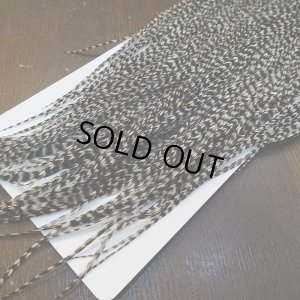 画像6: 【WHITING】Hebert Pro Grade Rooster Saddle Grizzly #12-14 No.1