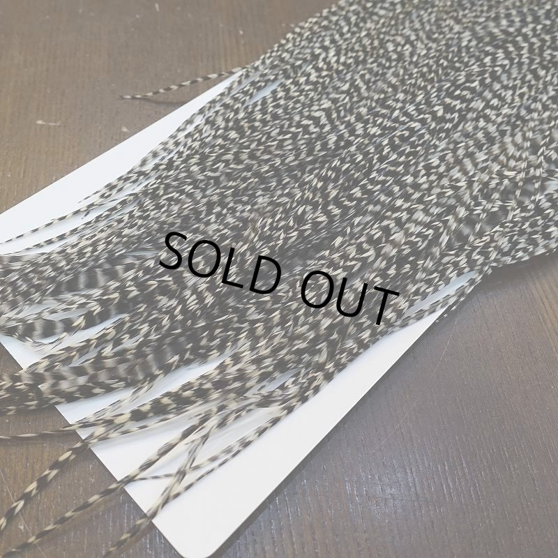 画像6: 【WHITING】Hebert Pro Grade Rooster Saddle Grizzly #12-14 No.1 (6)