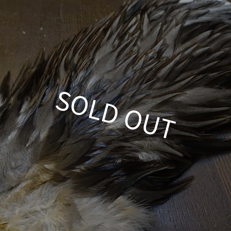 画像3: 【WHITING】AMERICAN SADDLE NA DARK DUN No.3 (3)