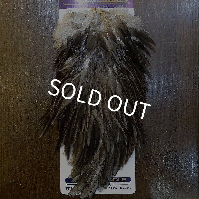 画像1: 【WHITING】AMERICAN SADDLE NA DARK DUN No.3 (1)