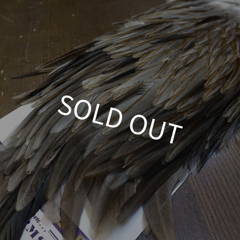 画像5: 【WHITING】AMERICAN SADDLE NA DARK DUN No.2 (5)