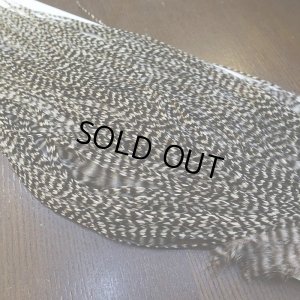 画像5: 【WHITING】Hebert Pro Grade Rooster Saddle Grizzly #12-14 No.1