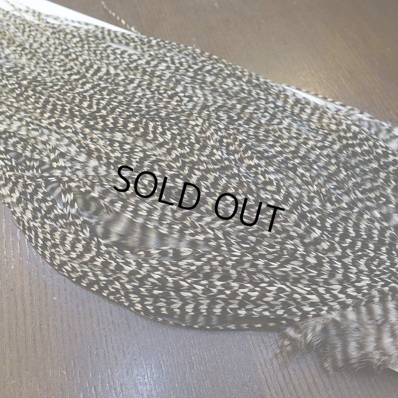 画像5: 【WHITING】Hebert Pro Grade Rooster Saddle Grizzly #12-14 No.1 (5)