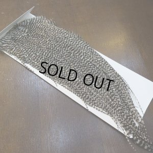 画像2: 【WHITING】Hebert Pro Grade Rooster Saddle Grizzly #12-14 No.1