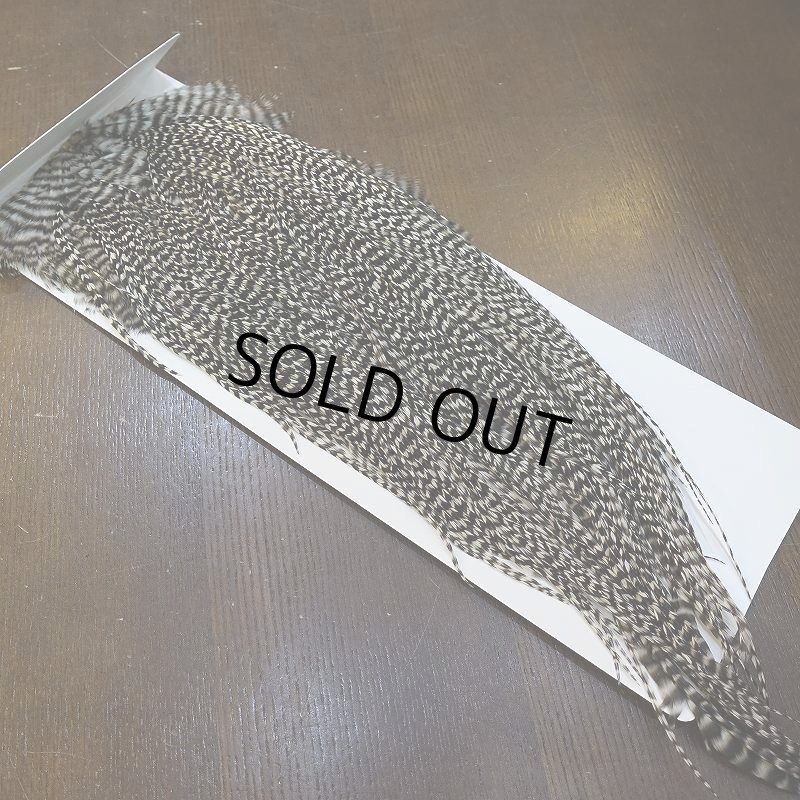 画像2: 【WHITING】Hebert Pro Grade Rooster Saddle Grizzly #12-14 No.1 (2)