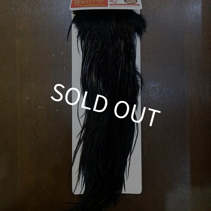 画像1: 【WHITING】ROOSTER SADDLE Bronze Grade - Black No.3 #16 (1)