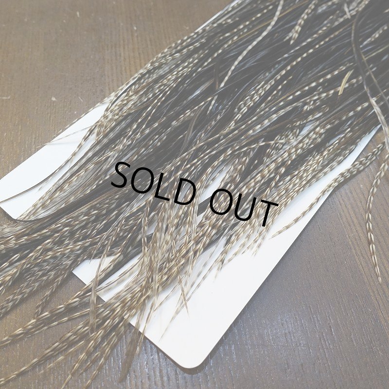 画像6: 【WHITING】Hebert Pro Grade Saddle Dun Grizzly #16 (6)