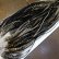 画像4: 【WHITING】Hebert Pro Grade Saddle Dun Grizzly #16