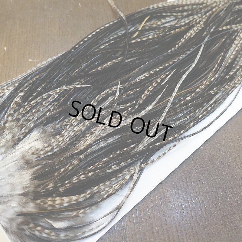 画像4: 【WHITING】Hebert Pro Grade Saddle Dun Grizzly #16 (4)