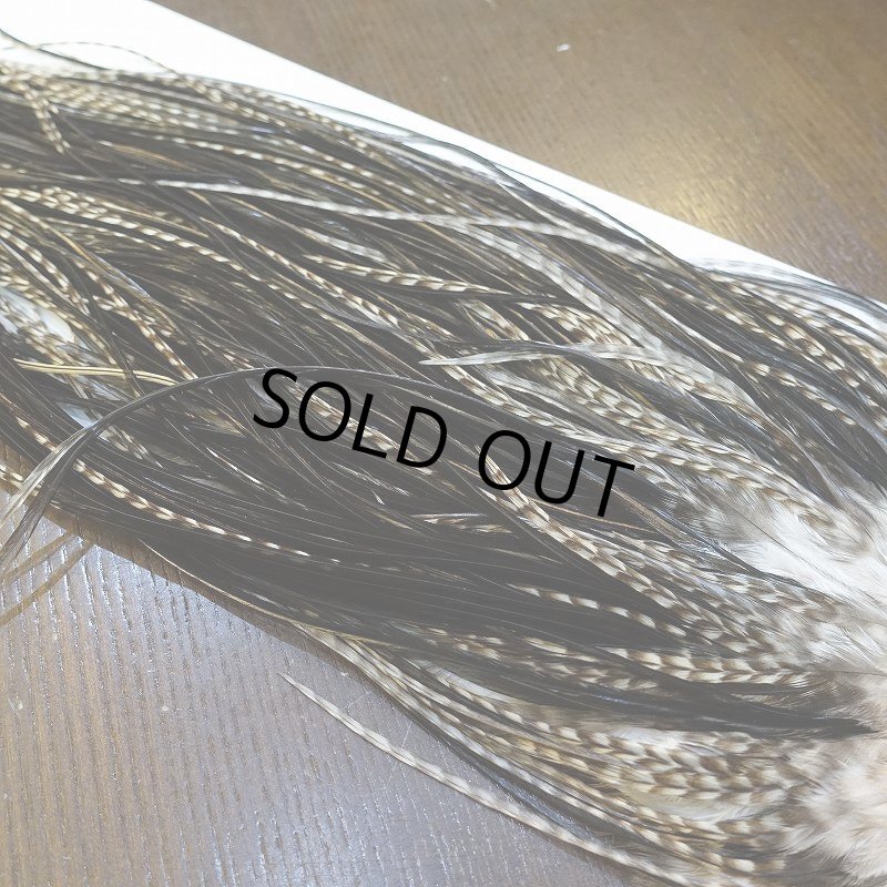 画像5: 【WHITING】Hebert Pro Grade Saddle Dun Grizzly #16 (5)