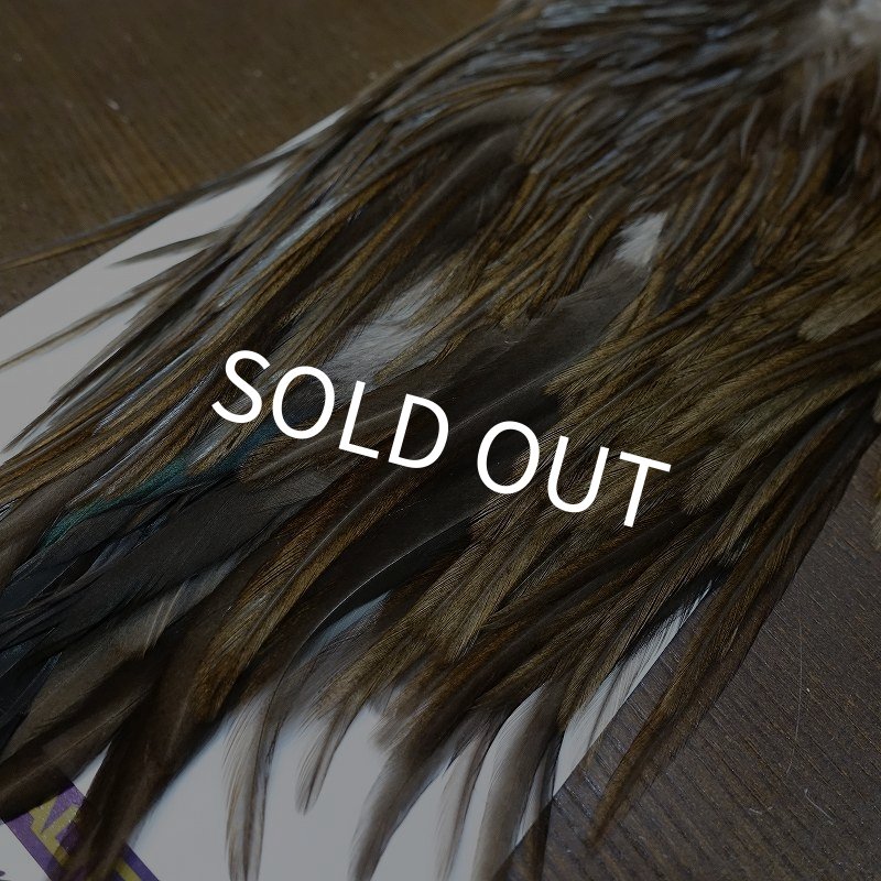 画像5: 【WHITING】AMERICAN SADDLE NA DARK DUN No.1 (5)