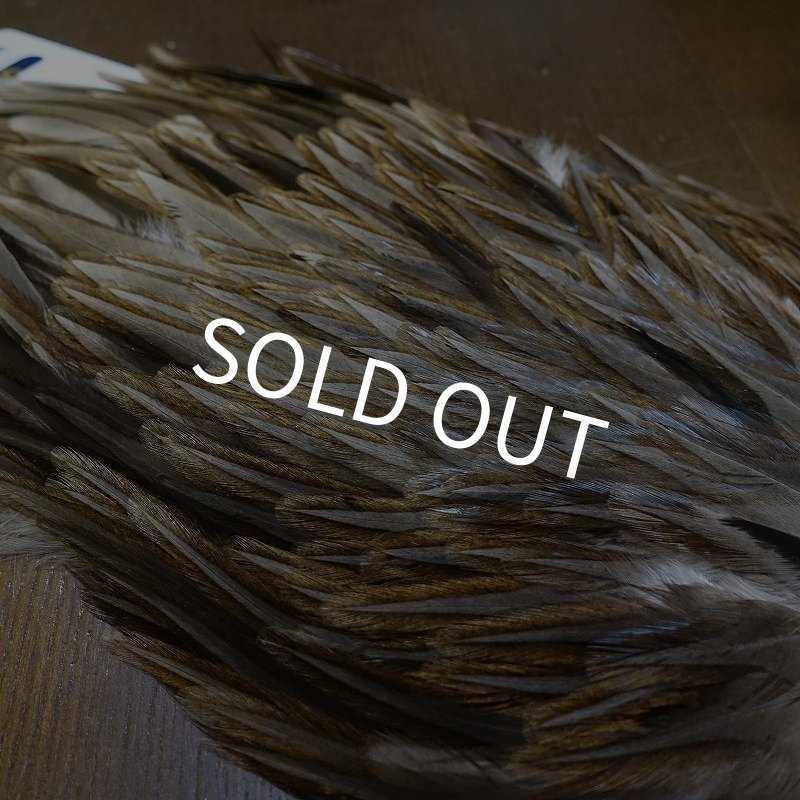 画像4: 【WHITING】AMERICAN SADDLE NA DARK DUN No.2 (4)