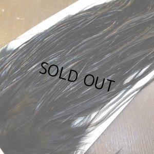 画像4: 【WHITING】ROOSTER SADDLE Bronze Grade - Black No.1 #12-14