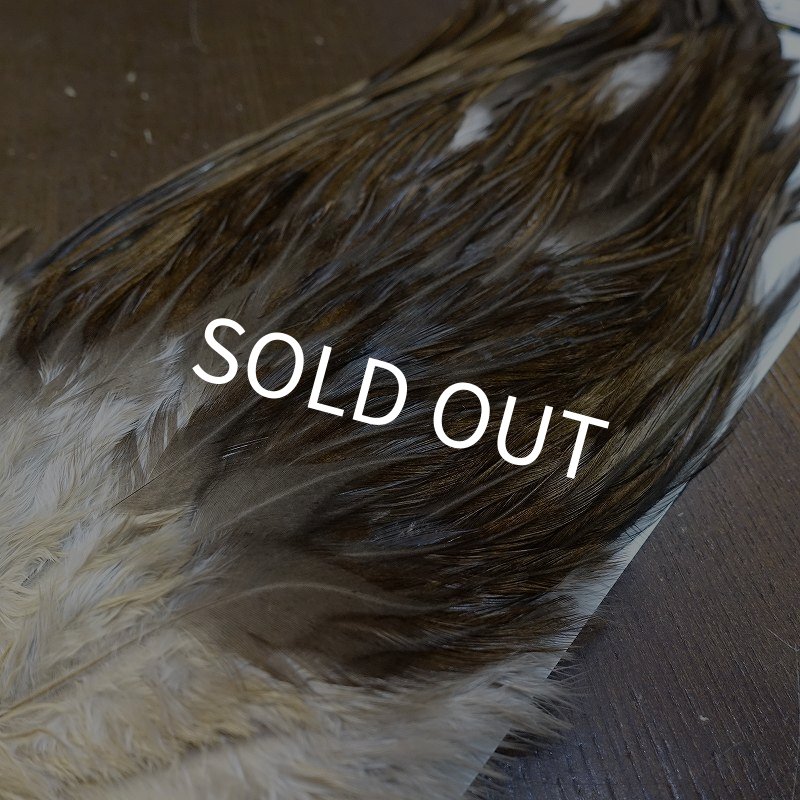 画像3: 【WHITING】AMERICAN SADDLE NA DARK DUN No.1 (3)