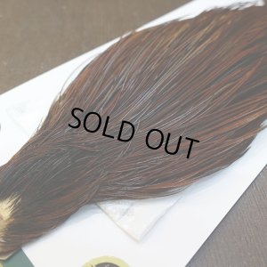 画像4: 【WHITING】Hebert ROOSTER CAPE Silver grade - Furnace