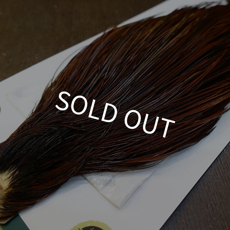 画像4: 【WHITING】Hebert ROOSTER CAPE Silver grade - Furnace (4)