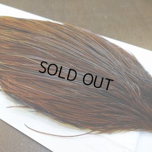 画像5: 【WHITING】Hebert ROOSTER CAPE Silver grade - Furnace