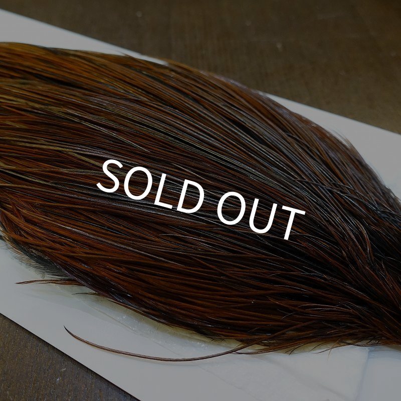 画像5: 【WHITING】Hebert ROOSTER CAPE Silver grade - Furnace (5)